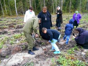 Акция «Наш лес. Посади свое дерево» в Павлово-Посадском благочинии